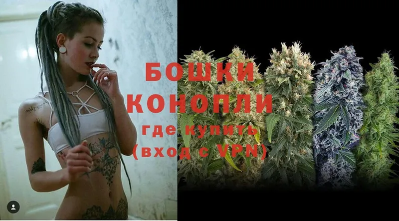 Канабис OG Kush  Сосенский 